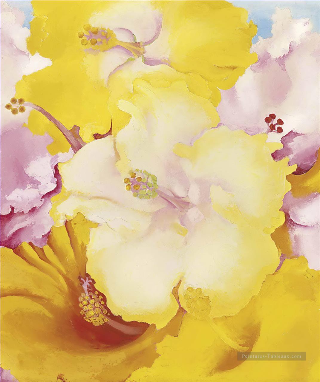Hibiscus Georgia Okeeffe décoration florale Peintures à l'huile